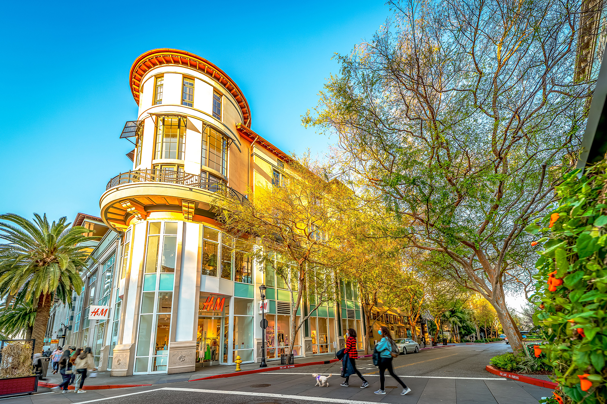 10 Best Places to Go Shopping in San Jose - Where to Shop and What